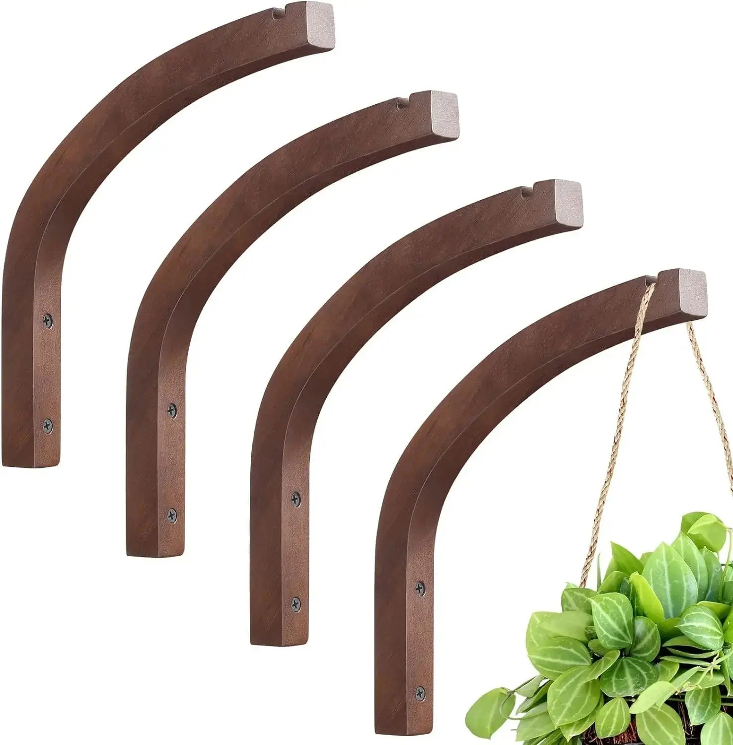 Wall Mounted Plant Hanging Hook Indoor and Outdoor Use - Modern Home by Bellver